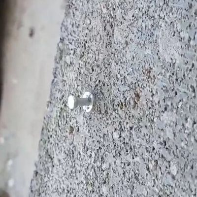 Lavadora de metal 9.5 mm 3/4 'Clavos del tronco 19 mm para TT del mercado Diámetro de la cabeza 3.7 mm